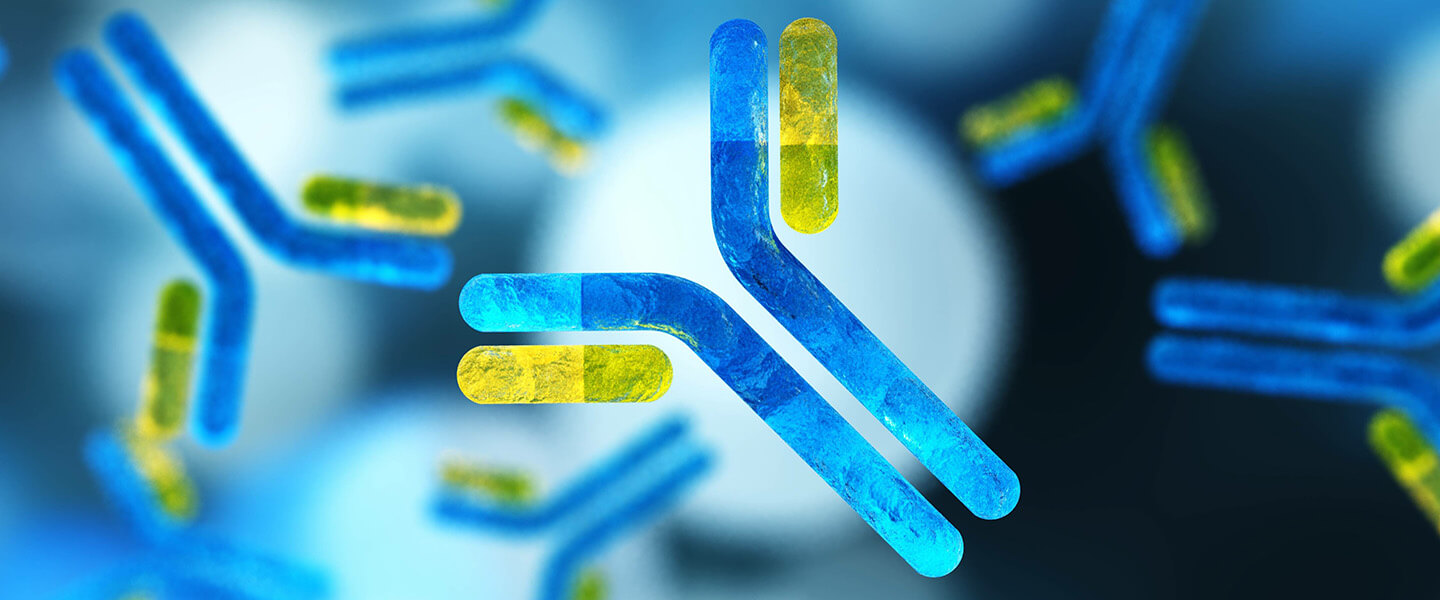 How Immune Activation May Alter the Brain and Cause Depression-Related Behavior During Chronic Social Stress
How Immune Activation May Alter the Brain and Cause Depression-Related Behavior During Chronic Social Stress
