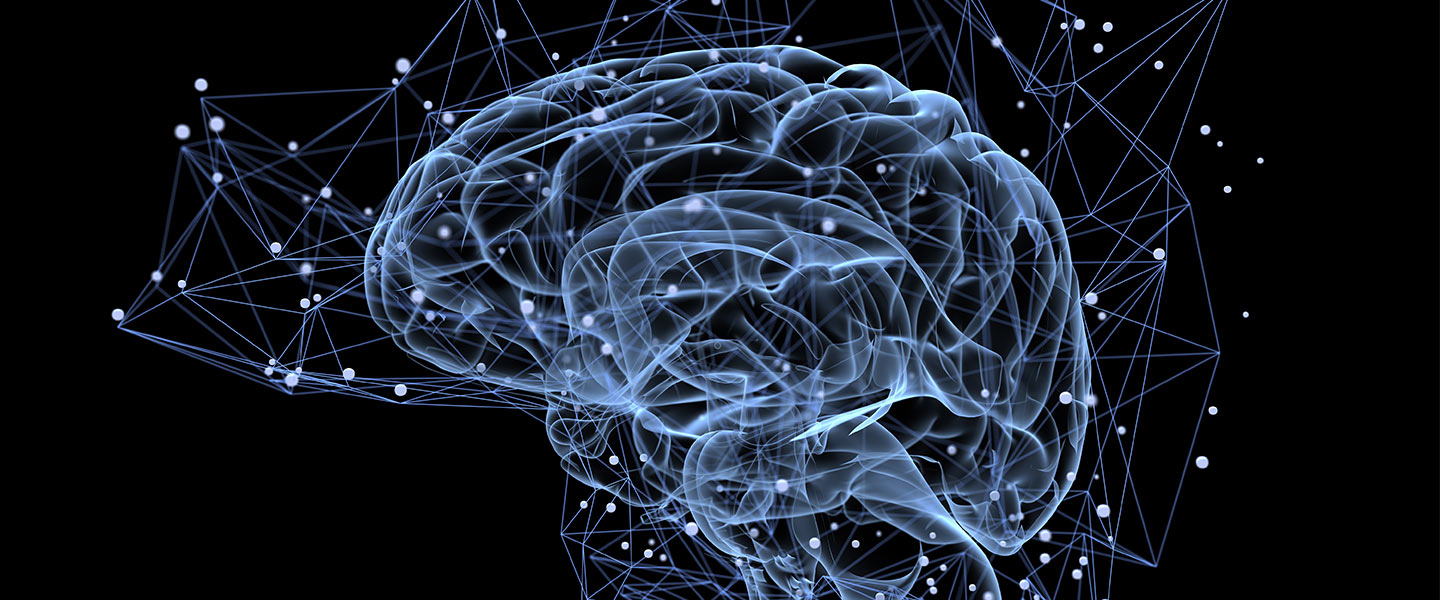 Researchers Unravel New Details of How the Brain Processes Fear
Researchers Unravel New Details of How the Brain Processes Fear