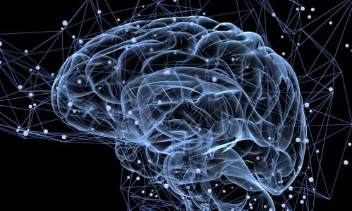 How the Brain Processes Fear