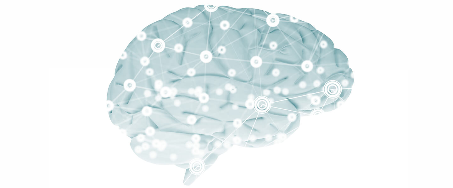 Findings About a Fear-Driven Learning Circuit Could Inform Efforts to Develop More Effective PTSD Treatments
Findings About a Fear-Driven Learning Circuit Could Inform Efforts to Develop More Effective PTSD Treatments