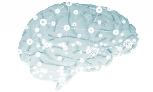 Findings About a Fear-Driven Learning Circuit Could Inform Efforts to Develop More Effective Ptsd Treatments