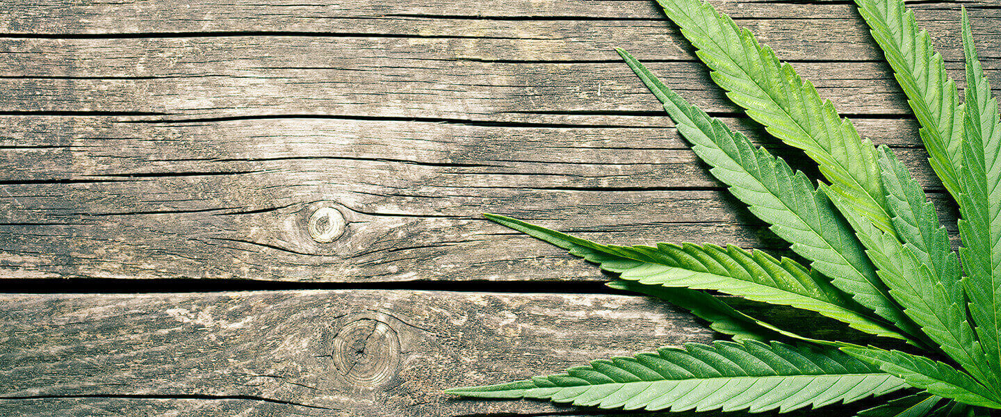 Largest Genome Study to Date of Cannabis Use Disorder Reveals New Genetic Underpinnings
Largest Genome Study to Date of Cannabis Use Disorder Reveals New Genetic Underpinnings