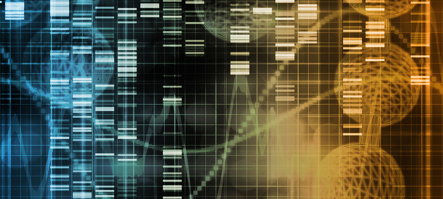Behavioral Changes in Cocaine Addiction Are Linked to Altered Patterns of Gene Activity in the Striatum
Behavioral Changes in Cocaine Addiction Are Linked to Altered Patterns of Gene Activity in the Striatum