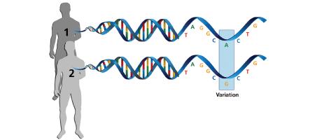 A RESEARCHER’S PERSPECTIVE: What Genetics Is Telling Us About Substance Use Disorders A RESEARCHER’S PERSPECTIVE: What Genetics Is Telling Us About Substance Use Disorders