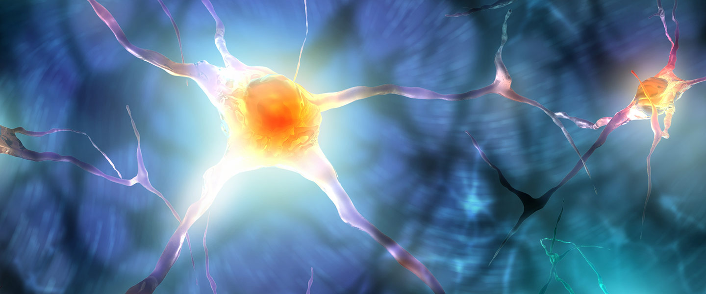 Serotonin Triggers Anxiety Through Newly Discovered Brain Circuit
Serotonin Triggers Anxiety Through Newly Discovered Brain Circuit
