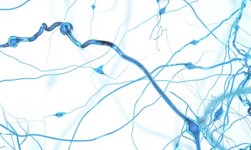 Over the Long Term, Antipsychotic Medicine Stabilized Functional Connectivity in Depressed Patients with Psychosis
