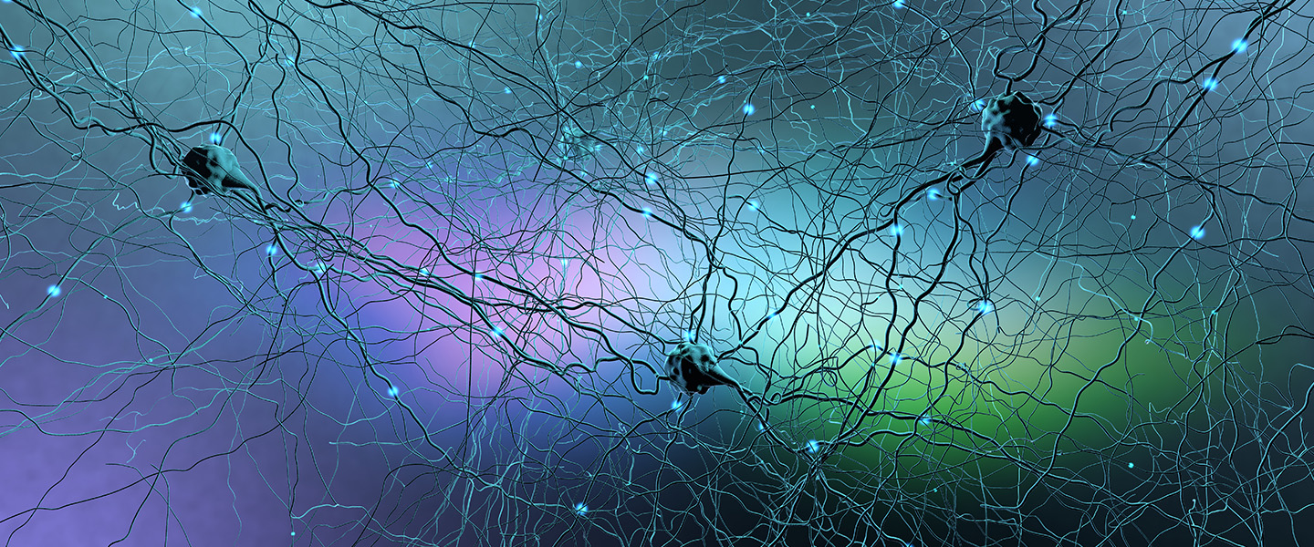 Experiments Reveal How a Circuit 'Resets' When the Brain Learns to Respond to New Conditions
Experiments Reveal How a Circuit 'Resets' When the Brain Learns to Respond to New Conditions