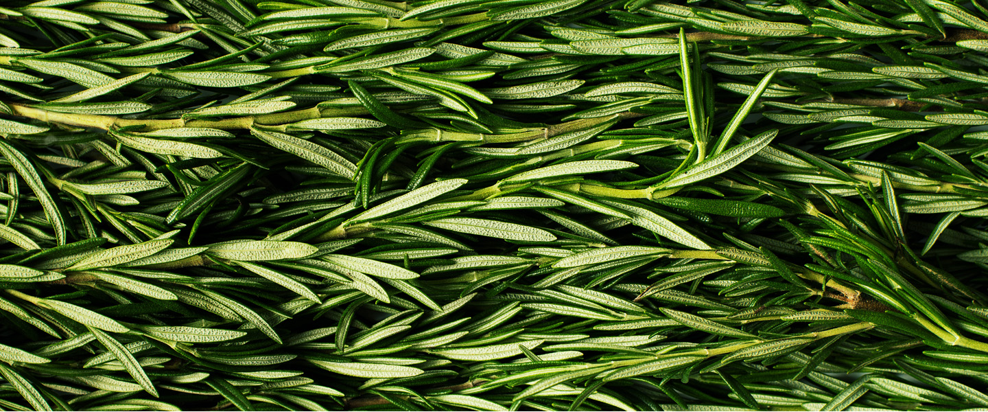 A Possible Biomarker for Cocaine Misuse and a Novel Treatment for Cocaine Addiction Based on Compound in Rosemary
A Possible Biomarker for Cocaine Misuse and a Novel Treatment for Cocaine Addiction Based on Compound in Rosemary