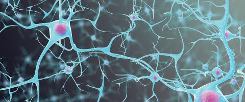 Studying Ketamine’s Rapid Effects to Unlock Secrets for Developing Better Antidepressants Studying Ketamine’s Rapid Effects to Unlock Secrets for Developing Better Antidepressants