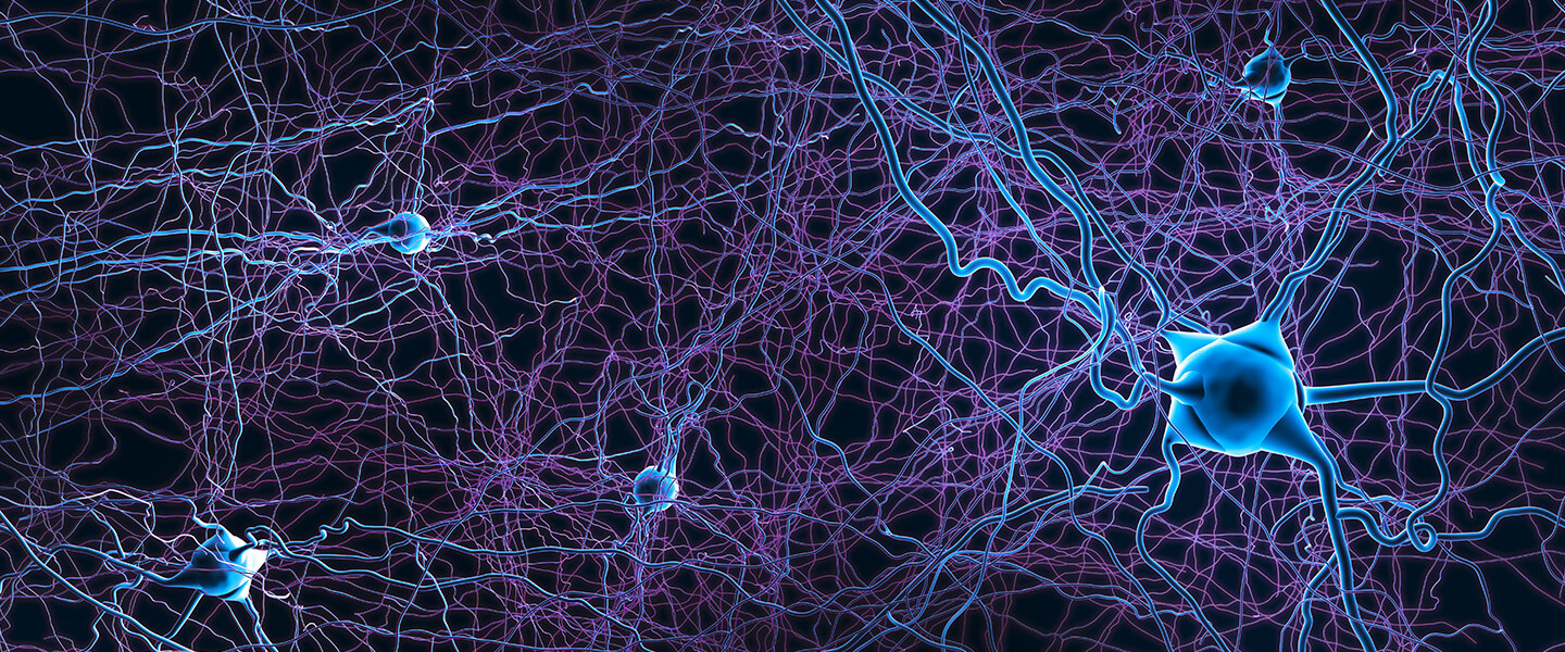 Study Finds Patterns of Brain Atrophy in Schizophrenia Converge on a Common Functional Brain Network
Study Finds Patterns of Brain Atrophy in Schizophrenia Converge on a Common Functional Brain Network