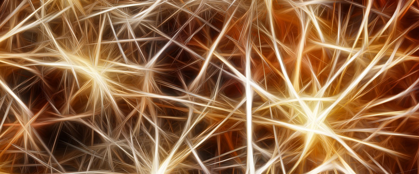 Small Study Finds Signs of Brain Inflammation in Patients with Obsessive-Compulsive Disorder
Small Study Finds Signs of Brain Inflammation in Patients with Obsessive-Compulsive Disorder