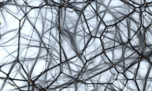 Researchers Identify Gene Variations Specifically Associated with Intellectual Disability