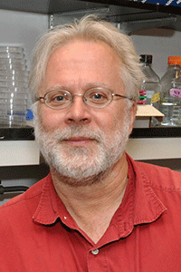 René Hen, Ph.D. 
