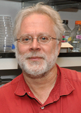 René Hen, Ph.D. 