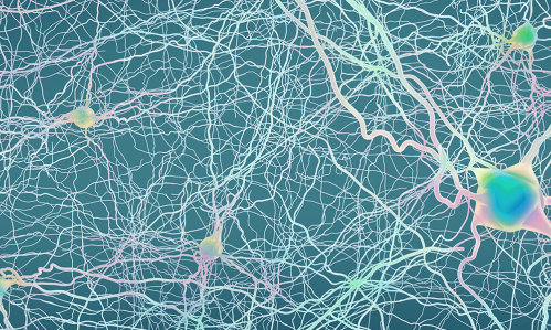 The last decade has seen a vast increase in the use of brain stimulation technologies to reduce symptoms of psychiatric illness. By far the most influential has been TMS, a non-invasive method employing magnets that generate electric fields which are thought to therapeutically alter the activity of neurons and brain circuits involved in depression and other disorders.    TMS was pioneered by BBRF Scientific Council member Mark S. George, M.D., who used two early-career BBRF grants to develop the protocol ul
