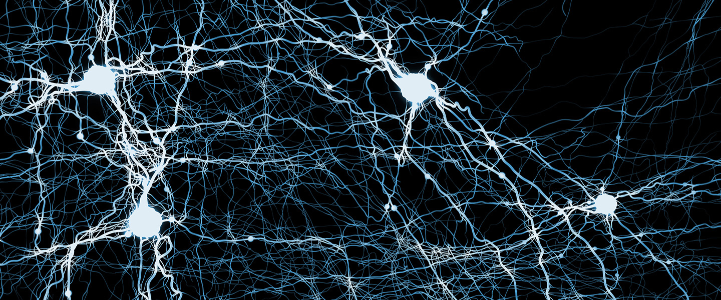 A Circuit Causally Linked With Spontaneous Nicotine Addiction Remissions May Be a Powerful Addiction Treatment Target
A Circuit Causally Linked With Spontaneous Nicotine Addiction Remissions May Be a Powerful Addiction Treatment Target