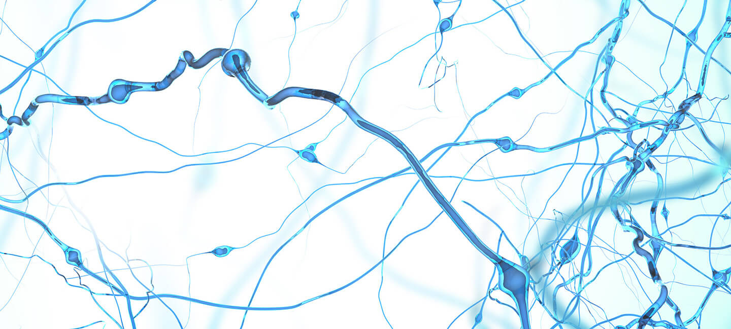 Researchers Discover Potentially Targetable Brain Circuit Controlling Cocaine Withdrawal Anxiety and Relapse
Researchers Discover Potentially Targetable Brain Circuit Controlling Cocaine Withdrawal Anxiety and Relapse